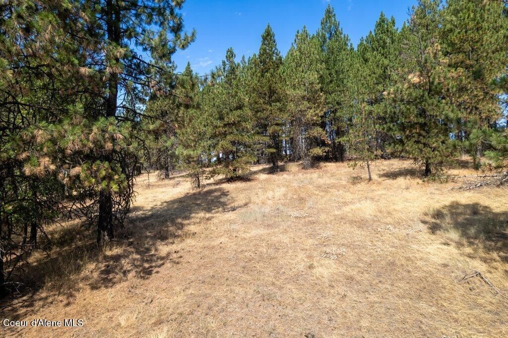 NKA Holiday Rd, Harrison, ID 83833 photo 23