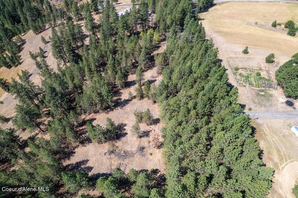 NKA Holiday Rd, Harrison, ID 83833 photo 9