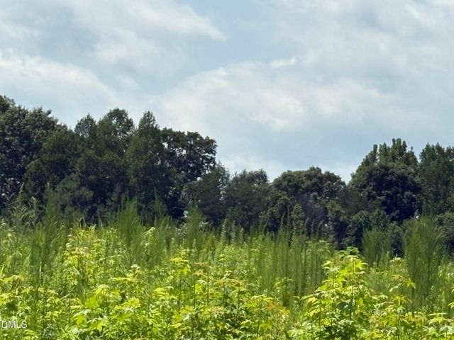 Lot 2 Sams Road, Mebane, NC 27302