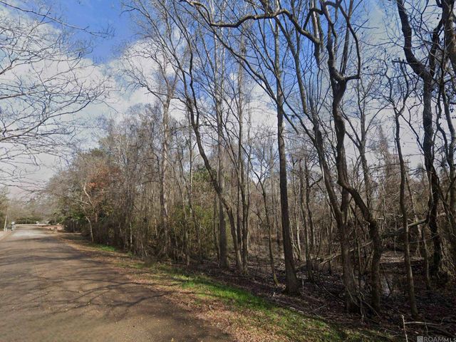 TBD Cline Dr, Baker, LA 70714