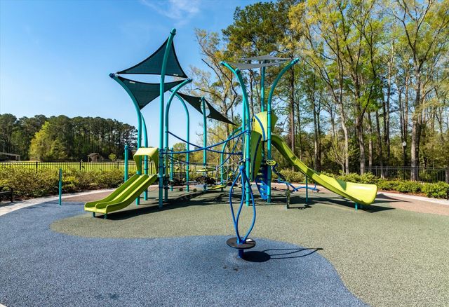 401 Painted Lady Lane, Goose Creek, SC 29445