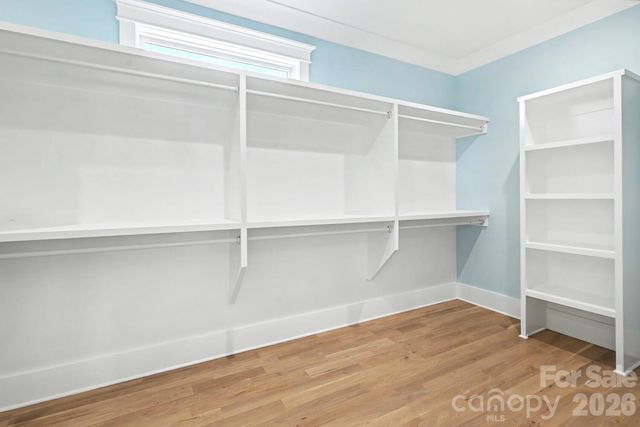 4304 Tangle Drive, Charlotte, NC 28211