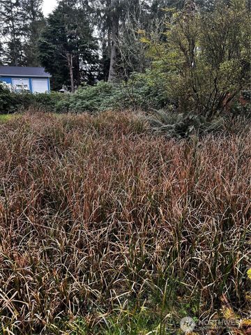 379 Eridani Loop SE, Ocean Shores, WA 98569