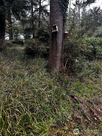 379 Eridani Loop SE, Ocean Shores, WA 98569