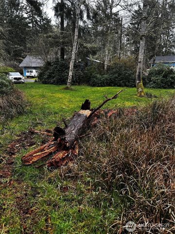 379 Eridani Loop SE, Ocean Shores, WA 98569