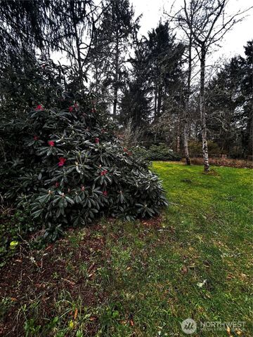 379 Eridani Loop SE, Ocean Shores, WA 98569