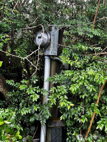 379 Eridani Loop SE, Ocean Shores, WA 98569