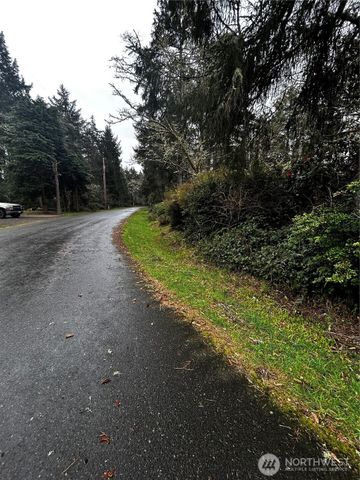 379 Eridani Loop SE, Ocean Shores, WA 98569