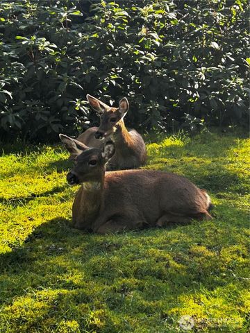 379 Eridani Loop SE, Ocean Shores, WA 98569