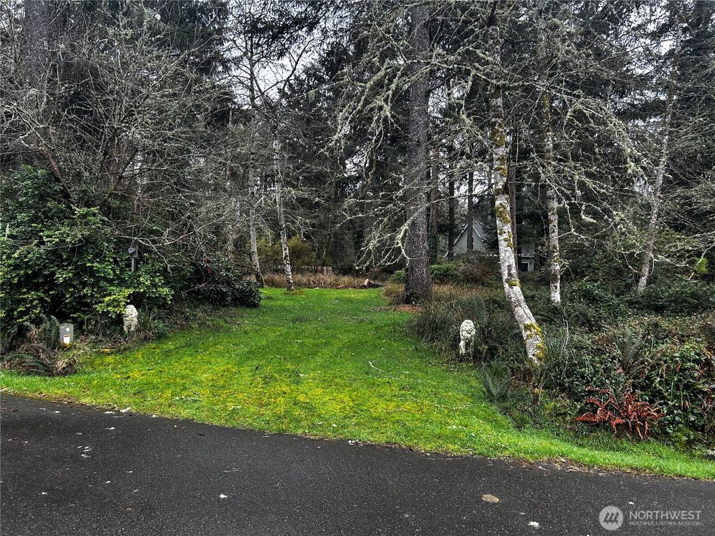 379 Eridani Loop SE, Ocean Shores, WA 98569
