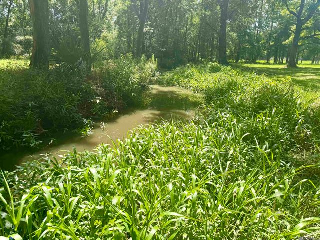 24632 Brian Rd, Zachary, LA 70791