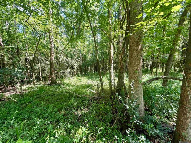 24632 Brian Rd, Zachary, LA 70791