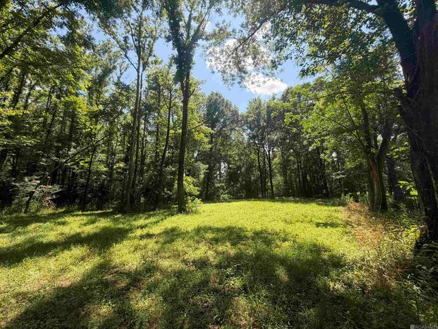 24632 Brian Rd, Zachary, LA 70791