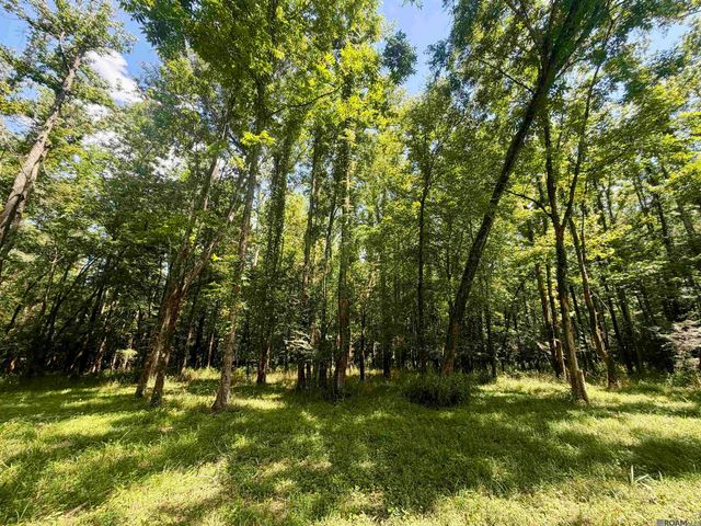 24632 Brian Rd, Zachary, LA 70791