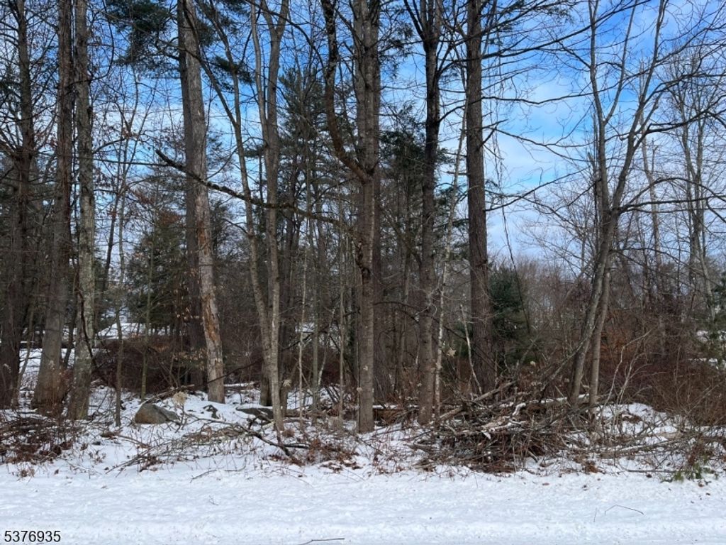260 Old Chimney Ridge Rd, Montague Twp., NJ 07827 — exterior