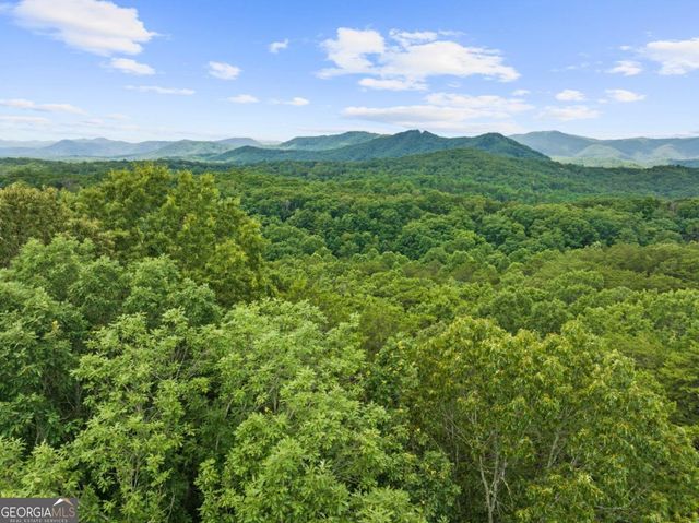 0 Crawford Road 5, Mccaysville, GA 30555