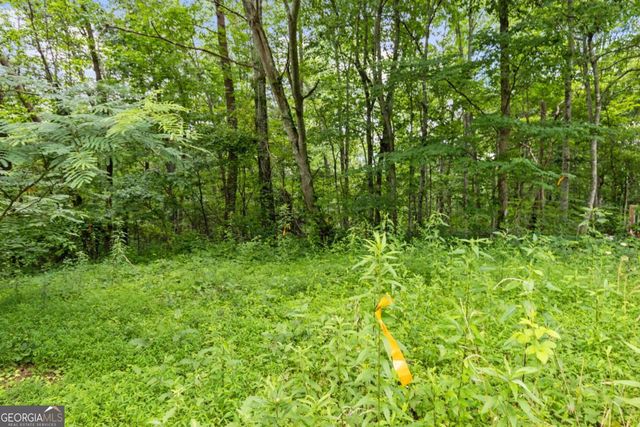 0 Crawford Road 5, Mccaysville, GA 30555