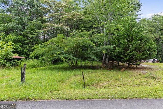 0 Crawford Road 5, Mccaysville, GA 30555