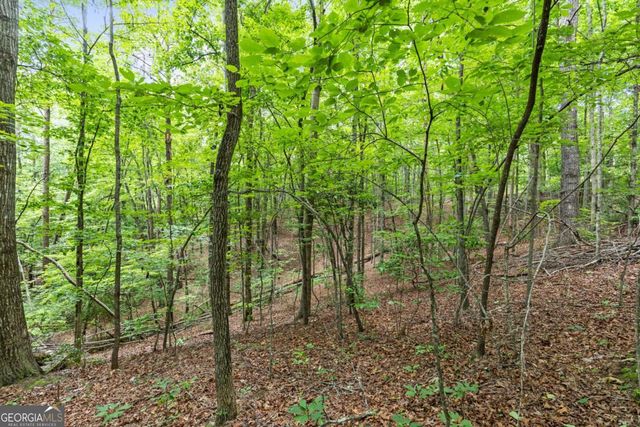 0 Crawford Road 5, Mccaysville, GA 30555
