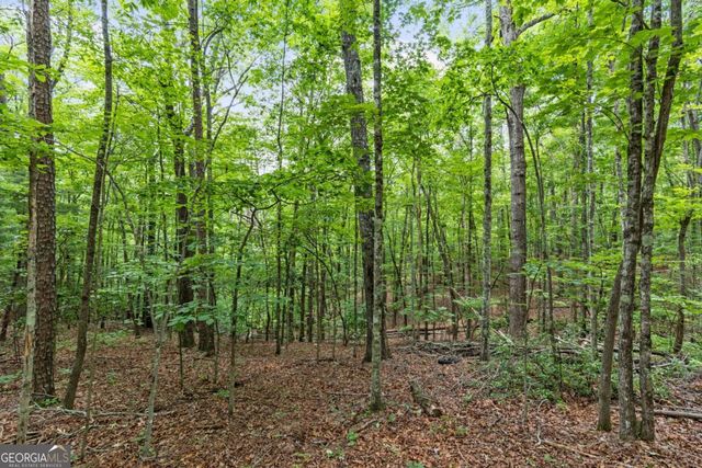 0 Crawford Road 5, Mccaysville, GA 30555