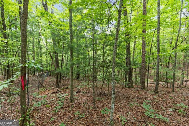 0 Crawford Road 5, Mccaysville, GA 30555
