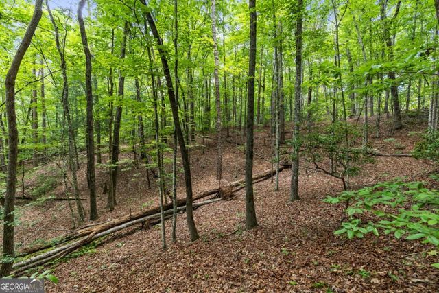 0 Crawford Road 5, Mccaysville, GA 30555