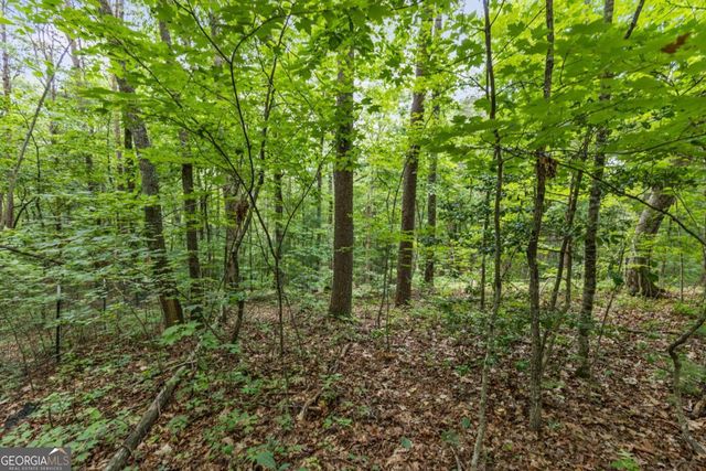 0 Crawford Road 5, Mccaysville, GA 30555