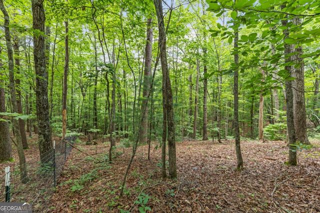 0 Crawford Road 5, Mccaysville, GA 30555