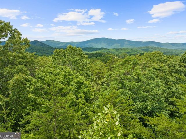 0 Crawford Road 5, Mccaysville, GA 30555