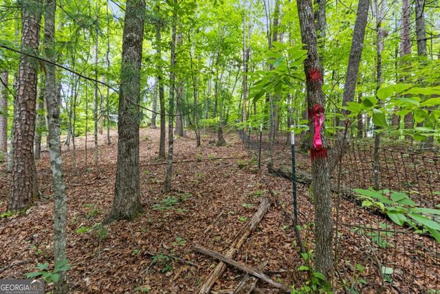 0 Crawford Road 5, Mccaysville, GA 30555