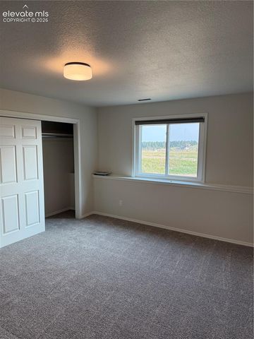 4531 Stewart Ranch Court, Colorado Springs, CO 80908