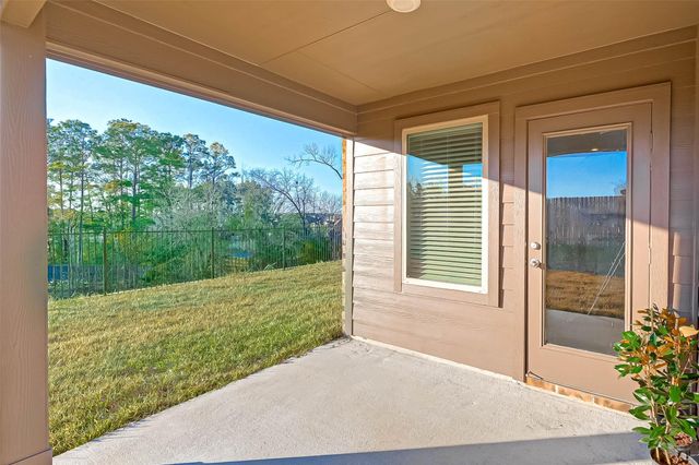 12311 Trumpetfish Court, Conroe, TX 77304
