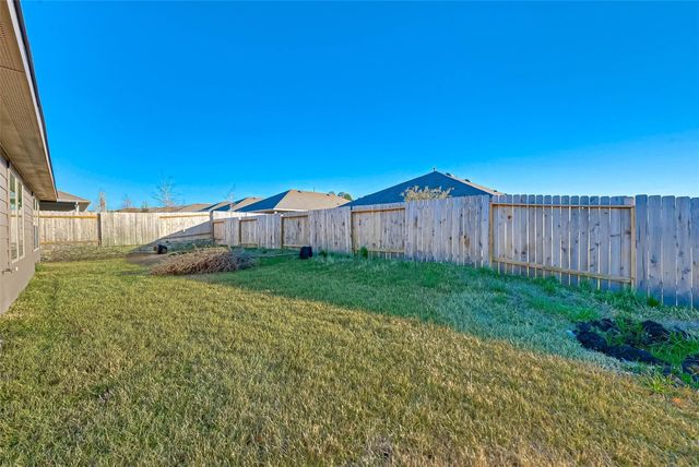 12311 Trumpetfish Court, Conroe, TX 77304