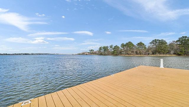 12311 Trumpetfish Court, Conroe, TX 77304