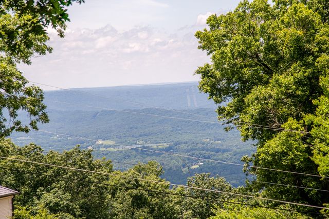 1008 Fort Stephenson Terrace, Lookout Mountain, TN 37350