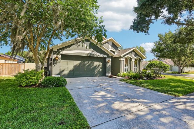 19918 ELLENDALE DRIVE, Land O Lakes, FL 34638