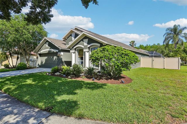 19918 ELLENDALE DRIVE, Land O Lakes, FL 34638