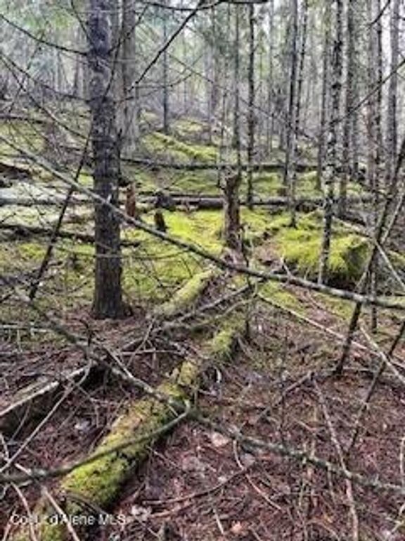 NNA BLK 3 LOT 8 UNIT 1, Bayview, ID 83803 photo 4