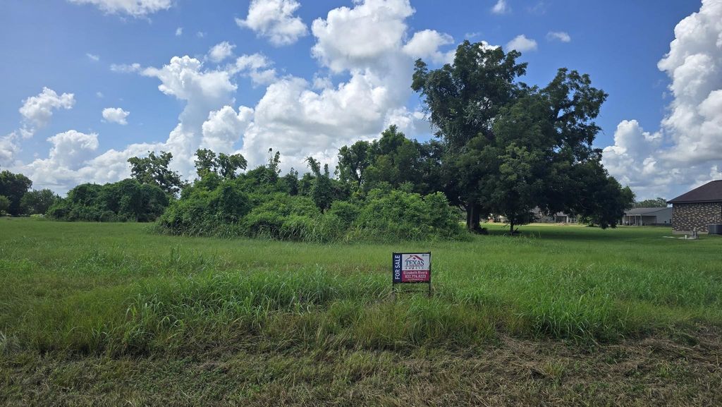 1549 Quarter Horse Trail, Angleton, TX 77515