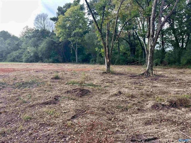 3.82 Acres Alabama Highway 251, Athens, AL 35613