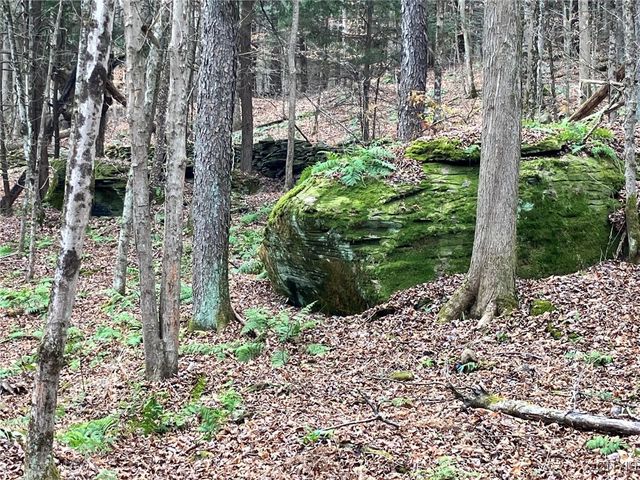 645 Big Hollow Road, Sanford, NY 13754