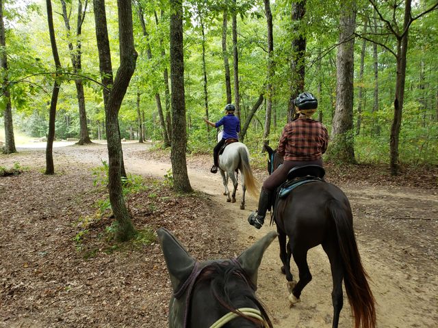0 Thunder Ridge Drive Lot 23, South Pittsburg, TN 37380
