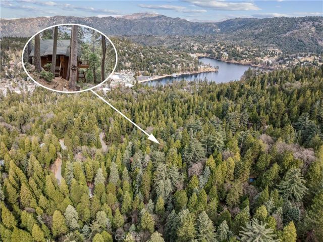 23959 Lakeview Drive, Crestline, CA 92325