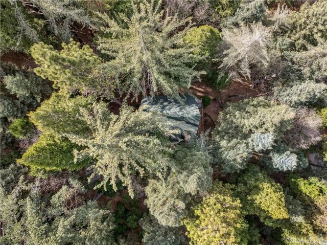 23959 Lakeview Drive, Crestline, CA 92325