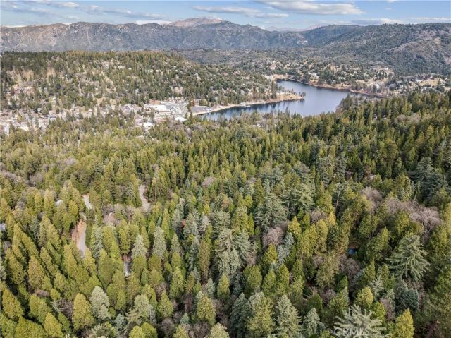 23959 Lakeview Drive, Crestline, CA 92325