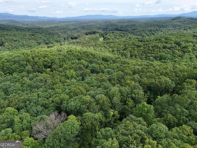 LOT 131 Laurel Crossing, Blue Ridge, GA 30513