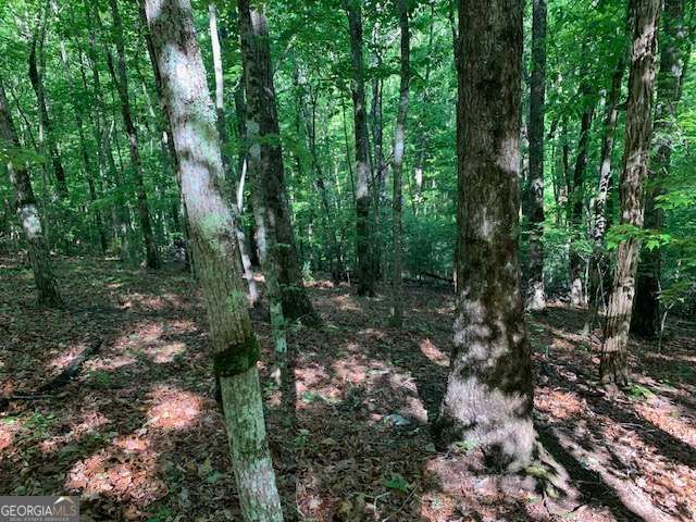 LOT 131 Laurel Crossing, Blue Ridge, GA 30513