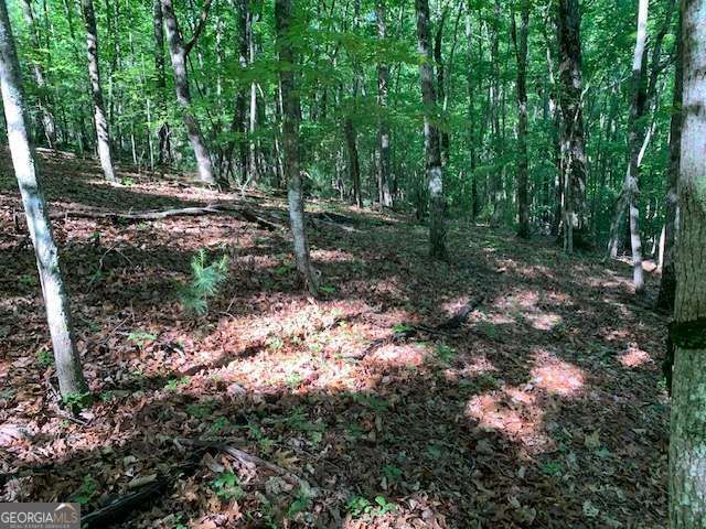 LOT 131 Laurel Crossing, Blue Ridge, GA 30513