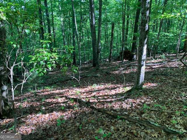 LOT 131 Laurel Crossing, Blue Ridge, GA 30513
