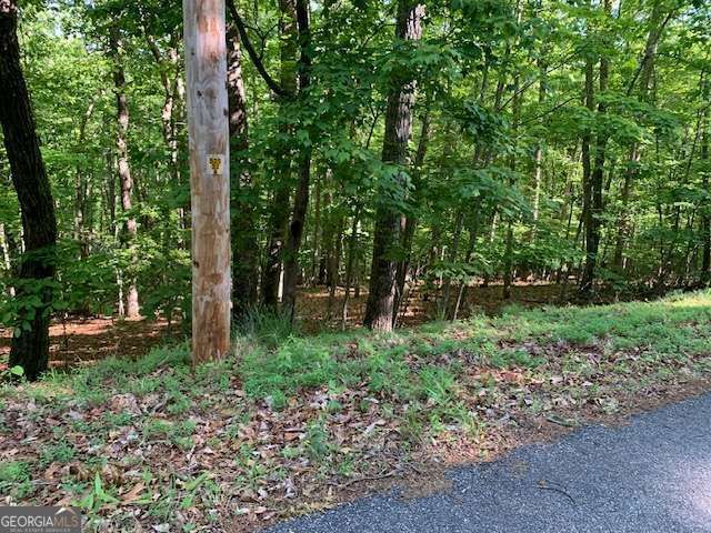 LOT 131 Laurel Crossing, Blue Ridge, GA 30513